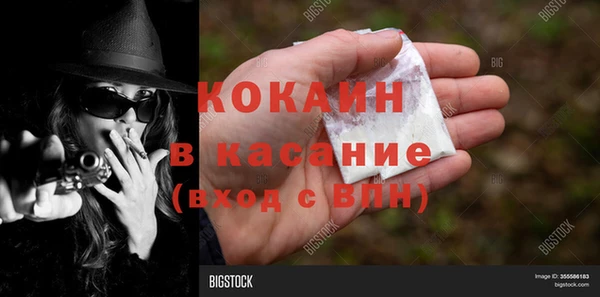 молекула духа Арсеньев