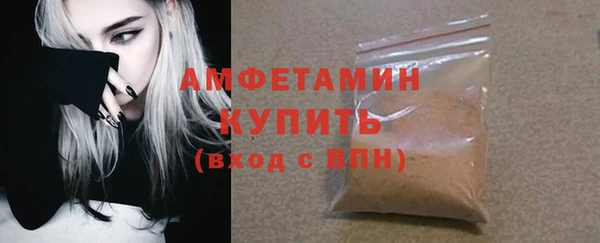 молекула духа Арсеньев