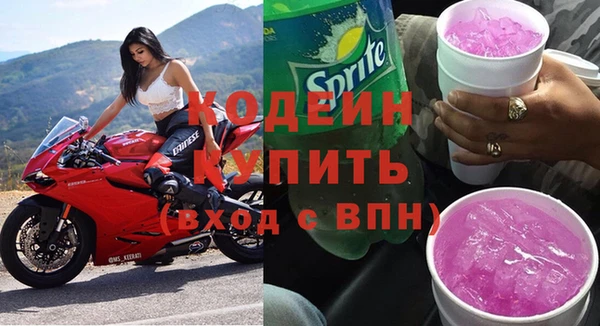 молекула духа Арсеньев